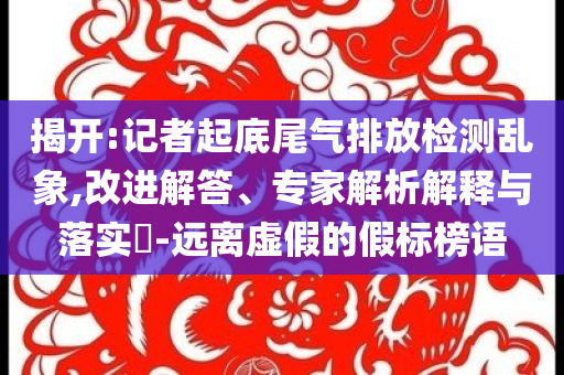 揭開:記者起底尾氣排放檢測亂象,改進(jìn)解答、專家解析解釋與落實(shí)?-遠(yuǎn)離虛假的假標(biāo)榜語