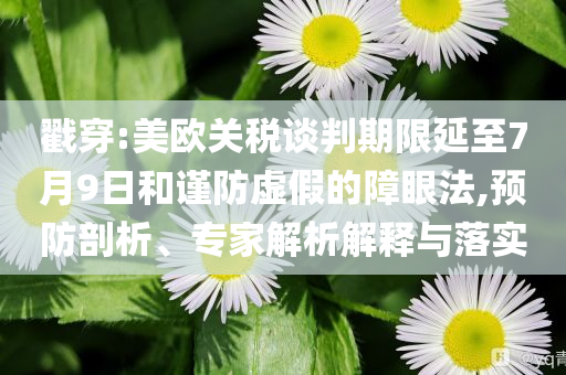 戳穿:美歐關(guān)稅談判期限延至7月9日和謹(jǐn)防虛假的障眼法,預(yù)防剖析、專家解析解釋與落實(shí)