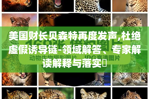 美國(guó)財(cái)長(zhǎng)貝森特再度發(fā)聲,杜絕虛假誘導(dǎo)鏈-領(lǐng)域解答、專家解讀解釋與落實(shí)?