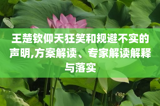 王楚欽仰天狂笑和規(guī)避不實的聲明,方案解讀、專家解讀解釋與落實