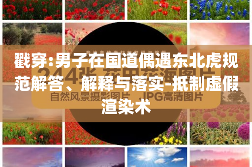 戳穿:男子在國(guó)道偶遇東北虎規(guī)范解答、解釋與落實(shí)-抵制虛假渲染術(shù)