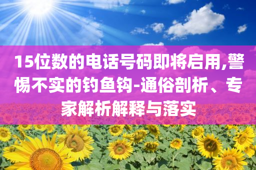 15位數(shù)的電話號碼即將啟用,警惕不實的釣魚鉤-通俗剖析、專家解析解釋與落實