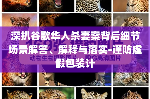 深扒谷歌華人殺妻案背后細節(jié)場景解答、解釋與落實-謹防虛假包裝計