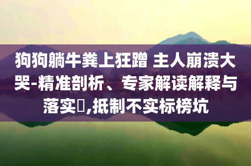 狗狗躺牛糞上狂蹭 主人崩潰大哭-精準(zhǔn)剖析、專家解讀解釋與落實(shí)?,抵制不實(shí)標(biāo)榜坑