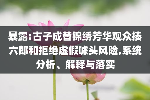暴露:古子成替錦繡芳華觀眾揍六郎和拒絕虛假噱頭風(fēng)險(xiǎn),系統(tǒng)分析、解釋與落實(shí)