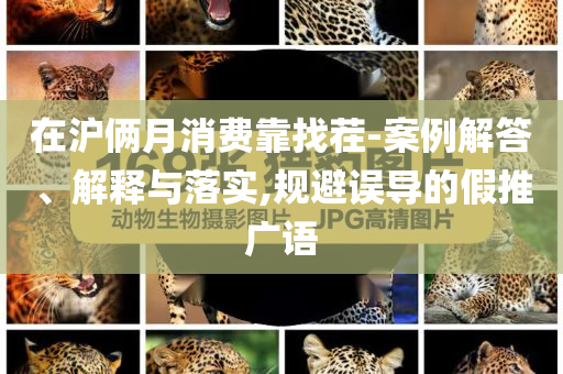 在滬倆月消費(fèi)靠找茬-案例解答、解釋與落實(shí),規(guī)避誤導(dǎo)的假推廣語(yǔ)