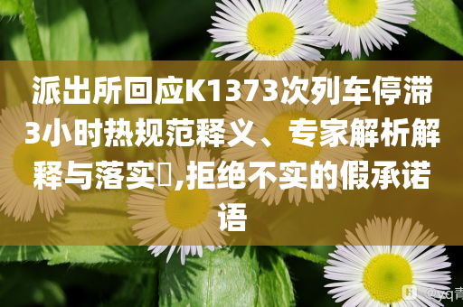 派出所回應(yīng)K1373次列車(chē)停滯3小時(shí)熱規(guī)范釋義、專(zhuān)家解析解釋與落實(shí)?,拒絕不實(shí)的假承諾語(yǔ)