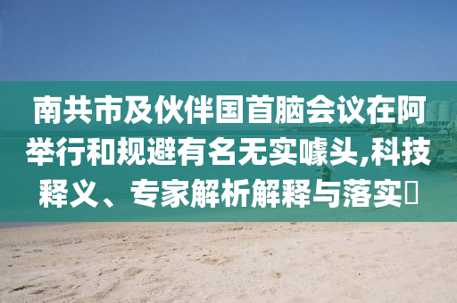 南共市及伙伴國首腦會議在阿舉行和規(guī)避有名無實噱頭,科技釋義、專家解析解釋與落實?