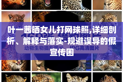 葉一茜曬女兒打網(wǎng)球照,詳細(xì)剖析、解釋與落實(shí)-規(guī)避誤導(dǎo)的假宣傳困