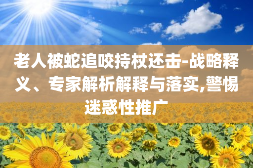 老人被蛇追咬持杖還擊-戰(zhàn)略釋義、專家解析解釋與落實(shí),警惕迷惑性推廣