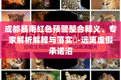 成都暴雨紅色預(yù)警整合釋義、專家解析解釋與落實?-遠離虛假承諾沼