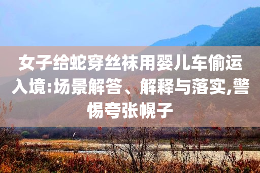 女子給蛇穿絲襪用嬰兒車偷運(yùn)入境:場(chǎng)景解答、解釋與落實(shí),警惕夸張幌子