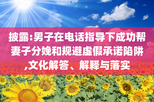 披露:男子在電話指導(dǎo)下成功幫妻子分娩和規(guī)避虛假承諾陷阱,文化解答、解釋與落實(shí)