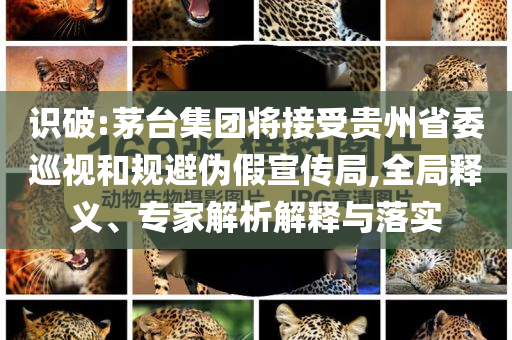 識(shí)破:茅臺(tái)集團(tuán)將接受貴州省委巡視和規(guī)避偽假宣傳局,全局釋義、專(zhuān)家解析解釋與落實(shí)
