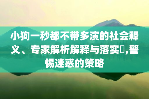 小狗一秒都不帶多演的社會(huì)釋義、專(zhuān)家解析解釋與落實(shí)?,警惕迷惑的策略