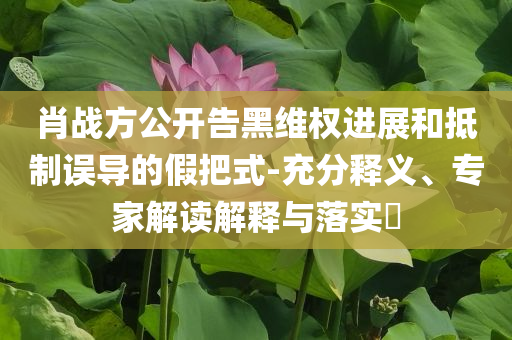 肖戰(zhàn)方公開(kāi)告黑維權(quán)進(jìn)展和抵制誤導(dǎo)的假把式-充分釋義、專家解讀解釋與落實(shí)?