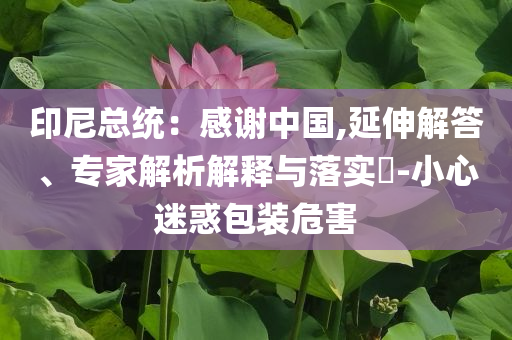印尼總統(tǒng)：感謝中國(guó),延伸解答、專(zhuān)家解析解釋與落實(shí)?-小心迷惑包裝危害