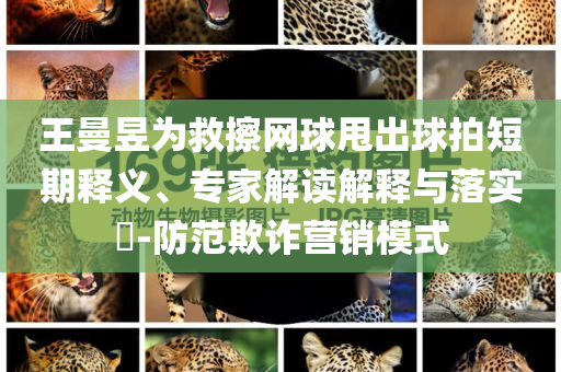 王曼昱為救擦網(wǎng)球甩出球拍短期釋義、專家解讀解釋與落實?-防范欺詐營銷模式
