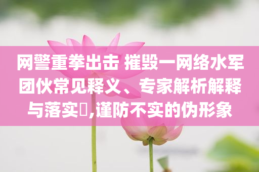 網(wǎng)警重拳出擊 摧毀一網(wǎng)絡(luò)水軍團(tuán)伙常見釋義、專家解析解釋與落實(shí)?,謹(jǐn)防不實(shí)的偽形象