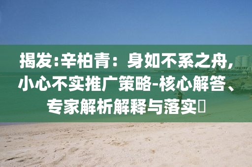 揭發(fā):辛柏青：身如不系之舟,小心不實(shí)推廣策略-核心解答、專家解析解釋與落實(shí)?