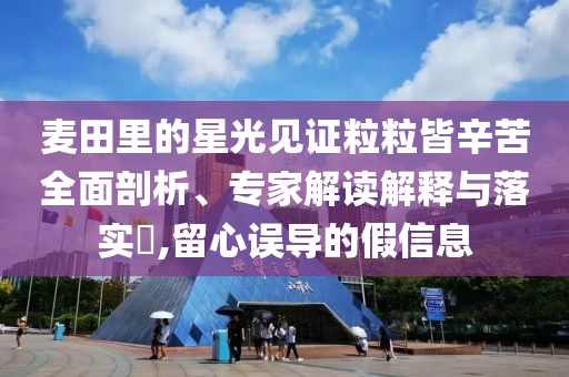 麥田里的星光見證粒粒皆辛苦全面剖析、專家解讀解釋與落實(shí)?,留心誤導(dǎo)的假信息