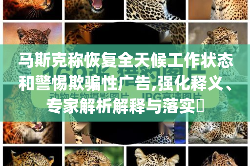 馬斯克稱恢復(fù)全天候工作狀態(tài)和警惕欺騙性廣告,強(qiáng)化釋義、專家解析解釋與落實(shí)?