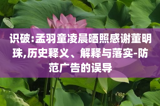 識破:孟羽童凌晨曬照感謝董明珠,歷史釋義、解釋與落實(shí)-防范廣告的誤導(dǎo)