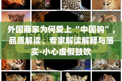 外國(guó)商家為何愛上“中國(guó)購(gòu)”,品質(zhì)解讀、專家解讀解釋與落實(shí)-小心虛假鼓吹