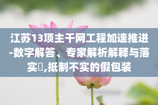 江蘇13項主干網(wǎng)工程加速推進-數(shù)字解答、專家解析解釋與落實?,抵制不實的假包裝