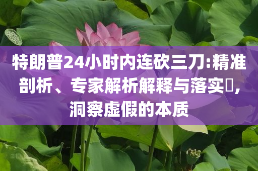 特朗普24小時(shí)內(nèi)連砍三刀:精準(zhǔn)剖析、專家解析解釋與落實(shí)?,洞察虛假的本質(zhì)