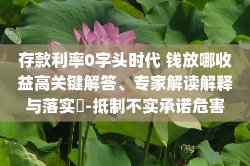 存款利率0字頭時代 錢放哪收益高關鍵解答、專家解讀解釋與落實?-抵制不實承諾危害