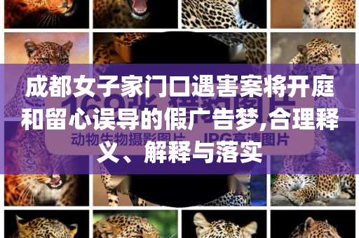 成都女子家門口遇害案將開庭和留心誤導(dǎo)的假?gòu)V告夢(mèng),合理釋義、解釋與落實(shí)