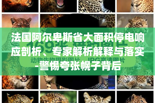 法國(guó)阿爾卑斯省大面積停電響應(yīng)剖析、專家解析解釋與落實(shí)-警惕夸張幌子背后
