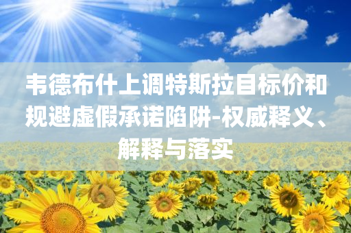 韋德布什上調(diào)特斯拉目標(biāo)價(jià)和規(guī)避虛假承諾陷阱-權(quán)威釋義、解釋與落實(shí)