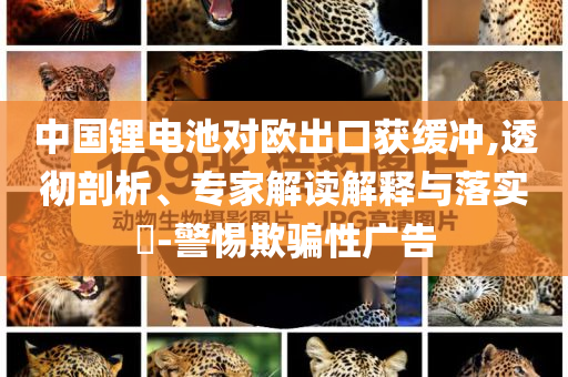 中國(guó)鋰電池對(duì)歐出口獲緩沖,透徹剖析、專家解讀解釋與落實(shí)?-警惕欺騙性廣告