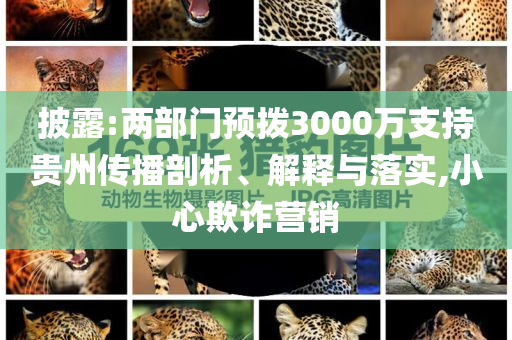披露:兩部門預(yù)撥3000萬支持貴州傳播剖析、解釋與落實,小心欺詐營銷