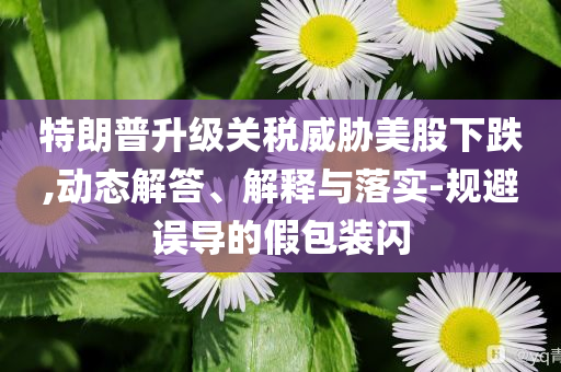 特朗普升級(jí)關(guān)稅威脅美股下跌,動(dòng)態(tài)解答、解釋與落實(shí)-規(guī)避誤導(dǎo)的假包裝閃