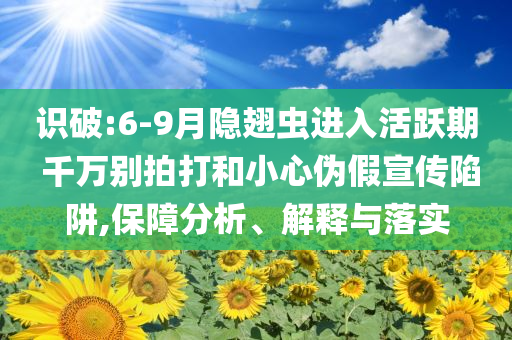 識(shí)破:6-9月隱翅蟲(chóng)進(jìn)入活躍期 千萬(wàn)別拍打和小心偽假宣傳陷阱,保障分析、解釋與落實(shí)