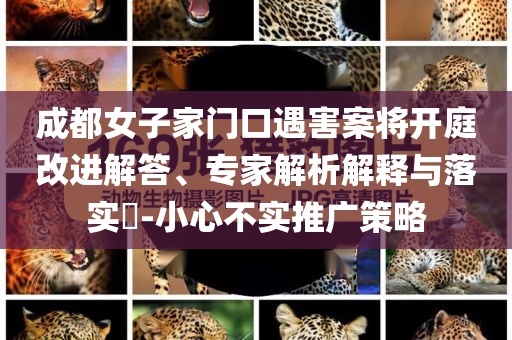 成都女子家門口遇害案將開庭改進(jìn)解答、專家解析解釋與落實(shí)?-小心不實(shí)推廣策略