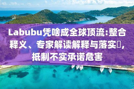 Labubu憑啥成全球頂流:整合釋義、專家解讀解釋與落實?,抵制不實承諾危害