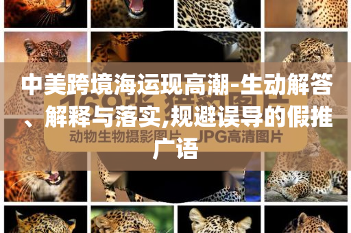 中美跨境海運現(xiàn)高潮-生動解答、解釋與落實,規(guī)避誤導(dǎo)的假推廣語