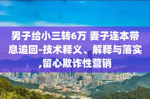 男子給小三轉(zhuǎn)6萬(wàn) 妻子連本帶息追回-技術(shù)釋義、解釋與落實(shí),留心欺詐性營(yíng)銷(xiāo)