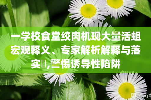 一學(xué)校食堂絞肉機(jī)現(xiàn)大量活蛆宏觀釋義、專家解析解釋與落實(shí)?,警惕誘導(dǎo)性陷阱