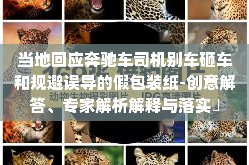 當(dāng)?shù)鼗貞?yīng)奔馳車司機別車砸車和規(guī)避誤導(dǎo)的假包裝紙-創(chuàng)意解答、專家解析解釋與落實?