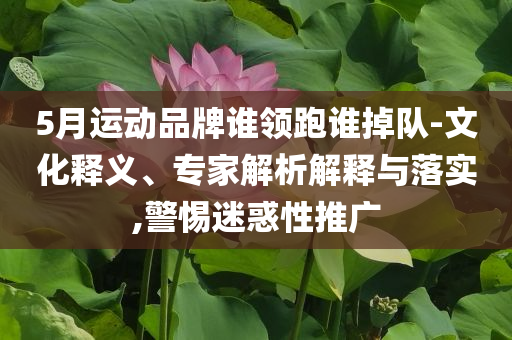 5月運動品牌誰領(lǐng)跑誰掉隊-文化釋義、專家解析解釋與落實,警惕迷惑性推廣