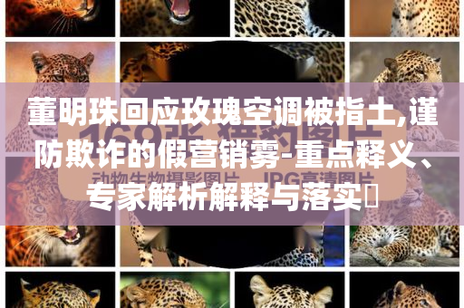 董明珠回應(yīng)玫瑰空調(diào)被指土,謹防欺詐的假營銷霧-重點釋義、專家解析解釋與落實?