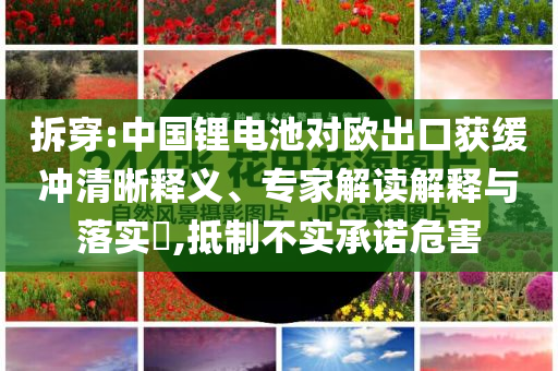 拆穿:中國鋰電池對歐出口獲緩沖清晰釋義、專家解讀解釋與落實?,抵制不實承諾危害