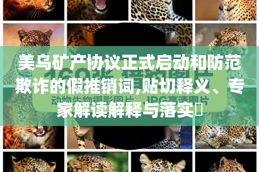 美烏礦產(chǎn)協(xié)議正式啟動和防范欺詐的假推銷詞,貼切釋義、專家解讀解釋與落實(shí)?