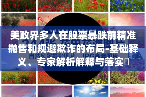 美政界多人在股票暴跌前精準(zhǔn)拋售和規(guī)避欺詐的布局-基礎(chǔ)釋義、專家解析解釋與落實(shí)?