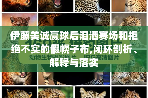 伊藤美誠(chéng)贏球后淚灑賽場(chǎng)和拒絕不實(shí)的假幌子布,閉環(huán)剖析、解釋與落實(shí)